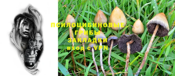 спиды Михайловка