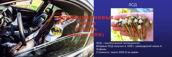спиды Михайловка