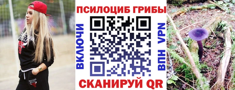 Галлюциногенные грибы Psilocybine cubensis Кондрово