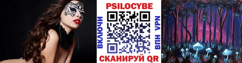 Купить  Кондрово  Галлюциногенные грибы Cubensis 