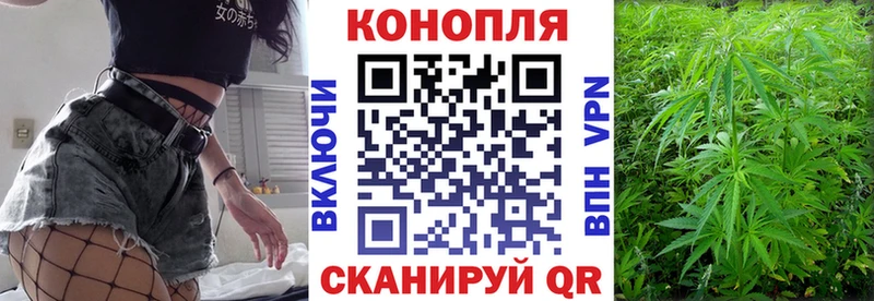 Купить где  Кондрово  Канабис VHQ 